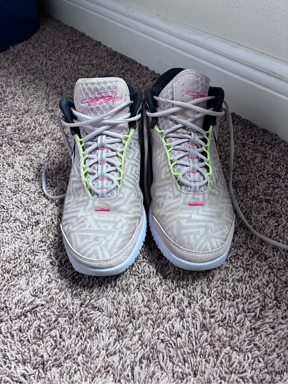 Nike Zoom LeBron NXXT Genisus “Platinum Violet” Men’s Size 10.5